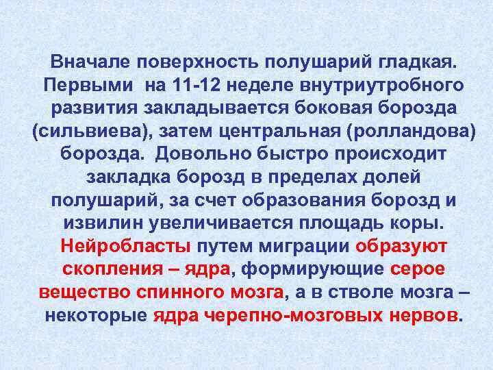  Вначале поверхность полушарий гладкая.  Первыми на 11 -12 неделе внутриутробного  развития