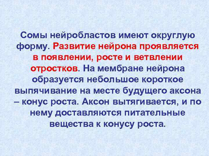  Сомы нейробластов имеют округлую форму. Развитие нейрона проявляется в появлении, росте и ветвлении