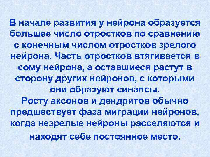 В начале развития у нейрона образуется большее число отростков по сравнению с конечным числом