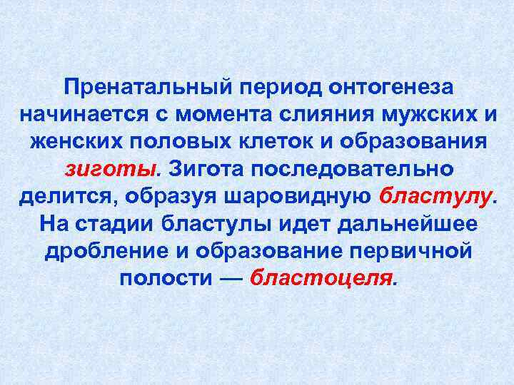   Пренатальный период онтогенеза начинается с момента слияния мужских и женских половых клеток