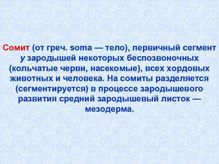Сомит (от греч. soma — тело), первичный сегмент у зародышей некоторых беспозвоночных (кольчатые черви,