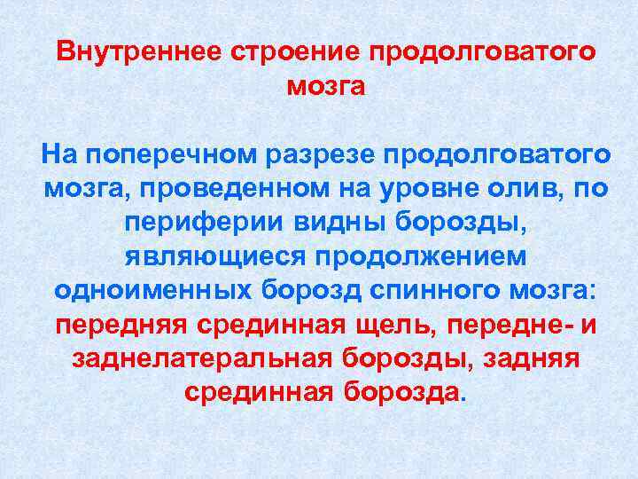 Внутреннее строение продолговатого    мозга На поперечном разрезе продолговатого мозга, проведенном на