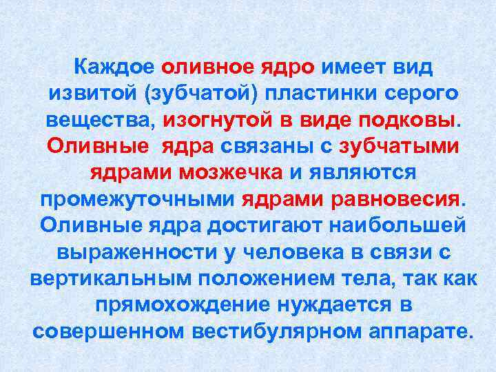   Каждое оливное ядро имеет вид  извитой (зубчатой) пластинки серого вещества, изогнутой