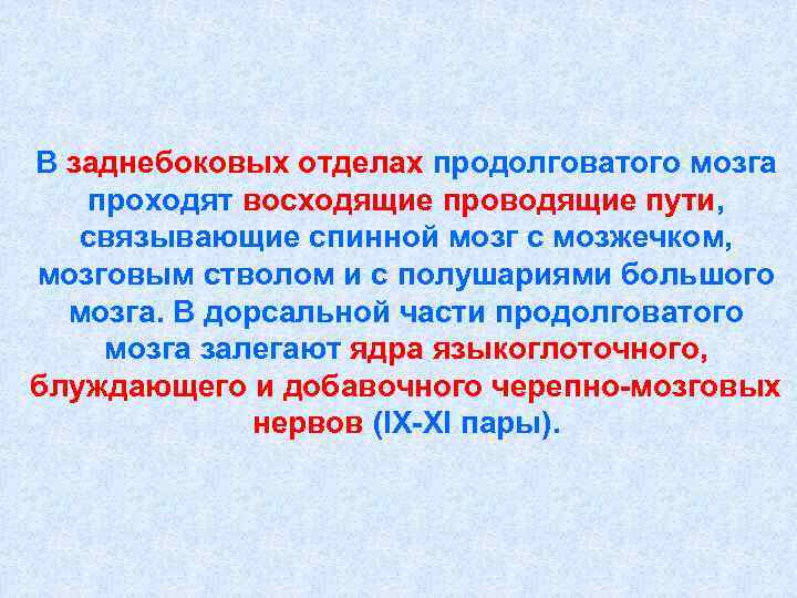 В заднебоковых отделах продолговатого мозга проходят восходящие проводящие пути, связывающие спинной мозг с мозжечком,