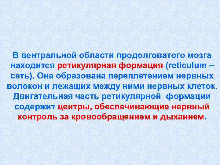  В вентральной области продолговатого мозга находится ретикулярная формация (reticulum – сеть). Она образована