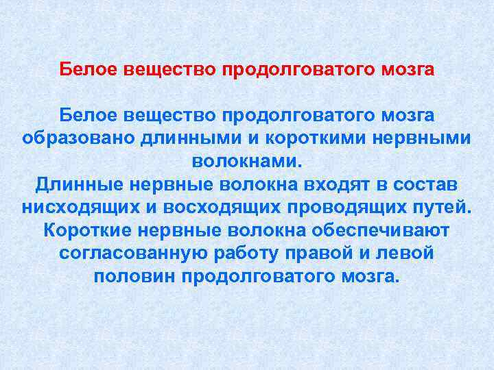   Белое вещество продолговатого мозга образовано длинными и короткими нервными   волокнами.
