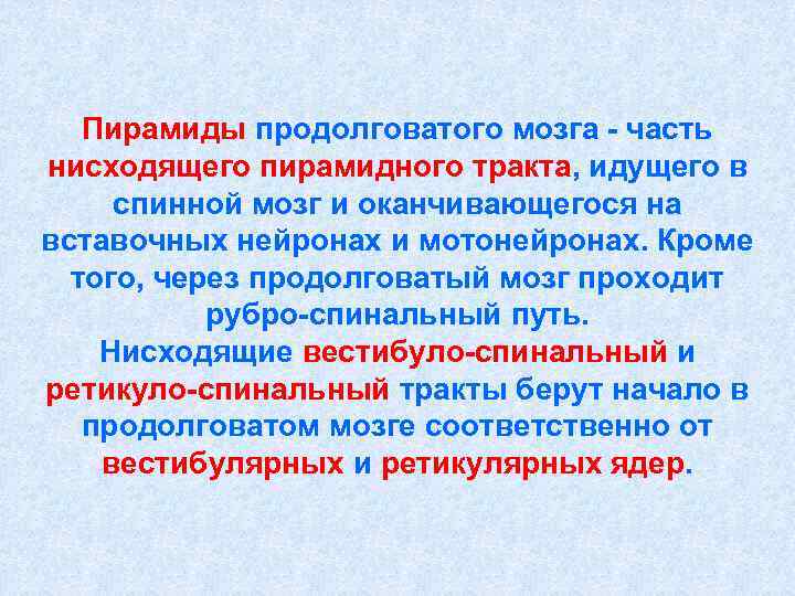   Пирамиды продолговатого мозга - часть нисходящего пирамидного тракта, идущего в спинной мозг