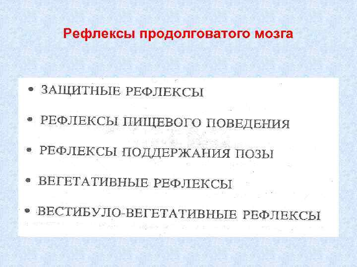Рефлексы продолговатого мозга 