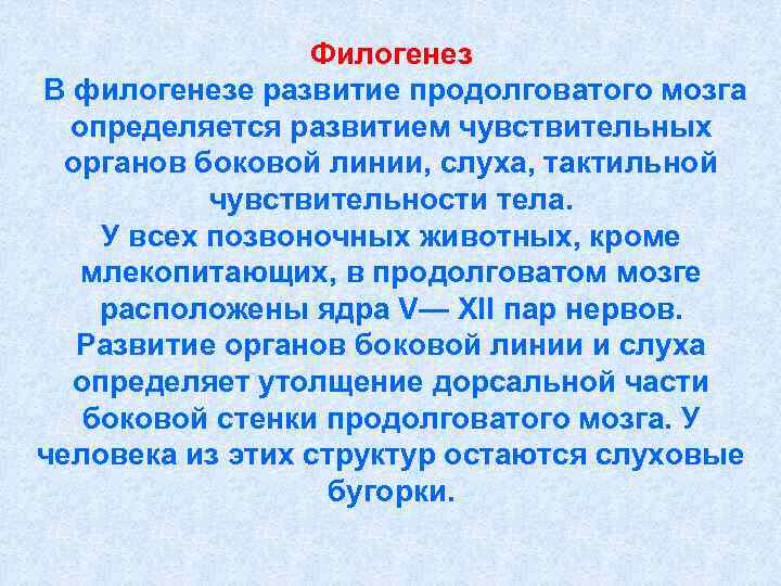    Филогенез В филогенезе развитие продолговатого мозга  определяется развитием чувствительных 