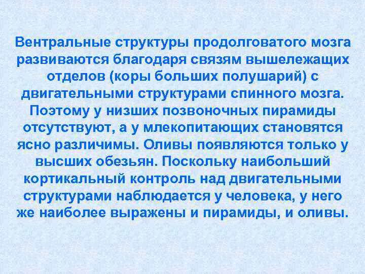 Вентральные структуры продолговатого мозга развиваются благодаря связям вышележащих отделов (коры больших полушарий) с двигательными