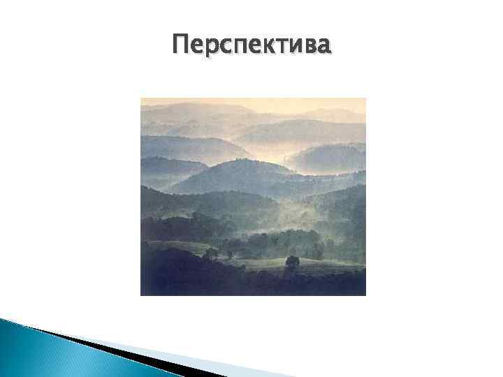 Перспектива 