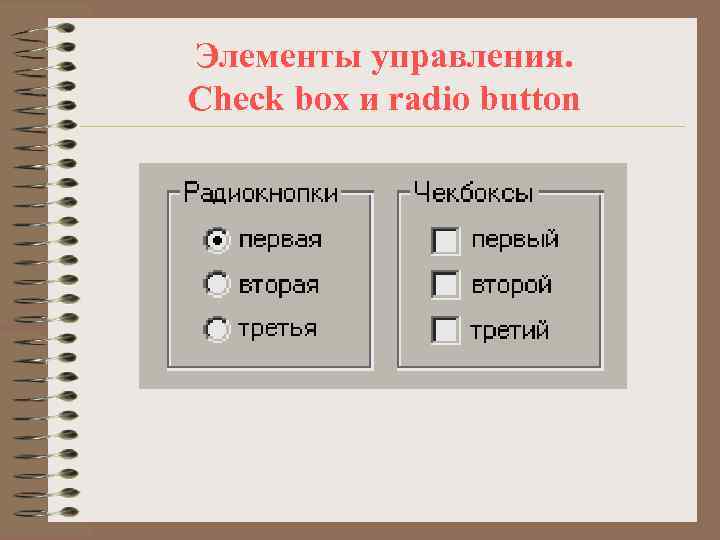 Элементы управления. Check box и radio button 
