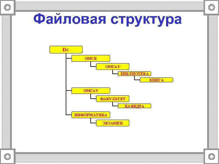 Файловая структура  D:    ОМСК     ОМГАУ 