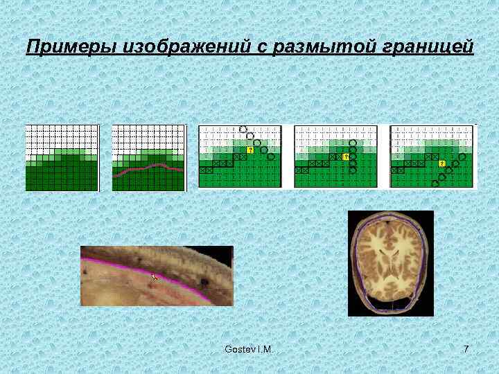 Примеры изображений с размытой границей     Gostev I. M.  7
