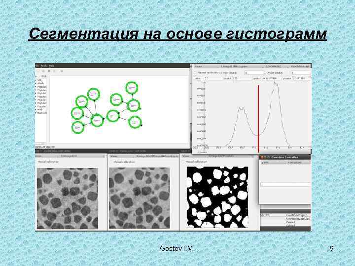 Сегментация на основе гистограмм    Gostev I. M.  9 