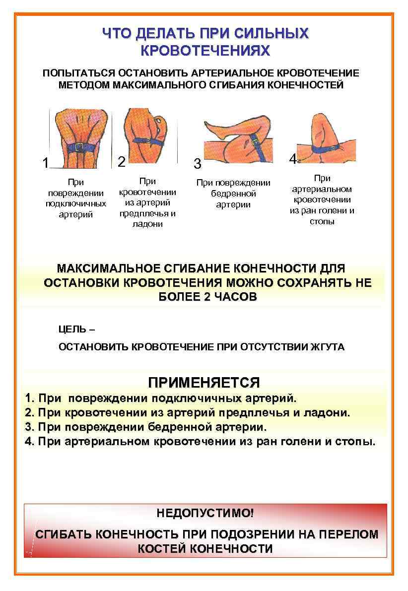 ЧТО ДЕЛАТЬ ПРИ СИЛЬНЫХ КРОВОТЕЧЕНИЯХ ПОПЫТАТЬСЯ ЧТО ДЕЛАТЬ ПРИ СИЛЬНЫХ КРОВОТЕЧЕНИЯХ ПОПЫТАТЬСЯ