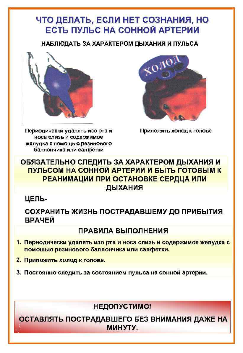 Пульс без сознания. Нет сознания но есть пульс на сонной артерии. Если нет сознания но есть пульс.