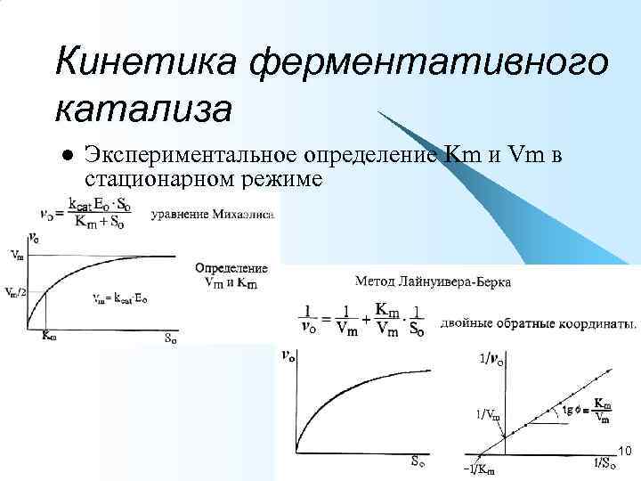 Кинетика ферментативного катализа l  Экспериментальное определение Km и Vm в стационарном режиме 