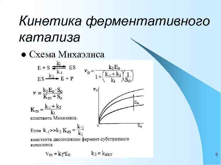 Кинетика ферментативного катализа l  Схема Михаэлиса      5 