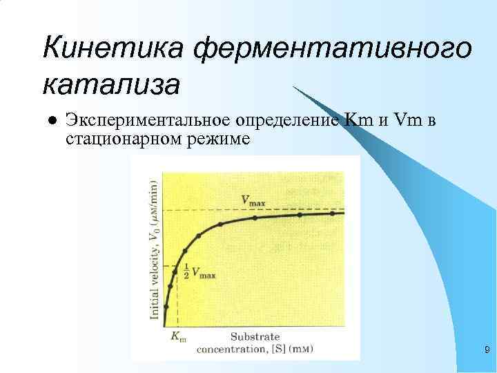 Кинетика ферментативного катализа l  Экспериментальное определение Km и Vm в стационарном режиме 
