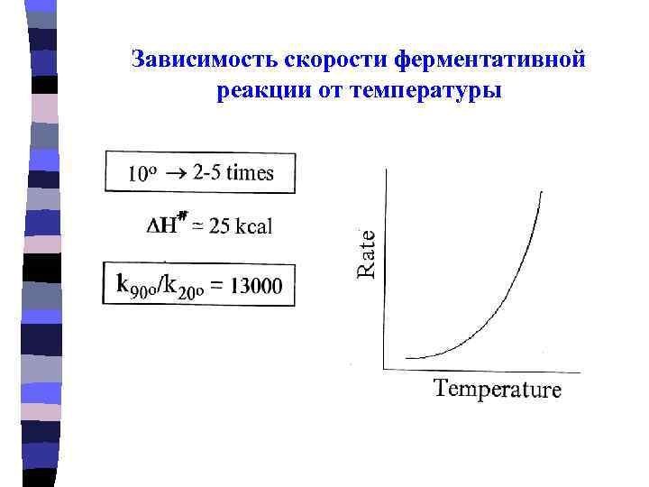 Зависимость скорости ферментативной  реакции от температуры 