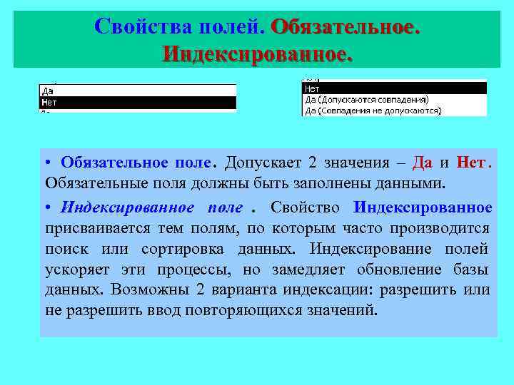  Свойства полей. Обязательное.   Индексированное. • Обязательное поле. Допускает 2 значения –