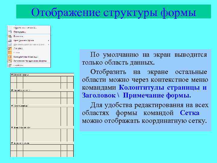 Отображение структуры формы   По умолчанию на экран выводится   только область