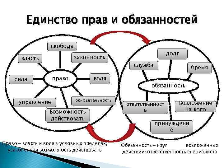 Роли в расширении. Единство прав и обязанностей. Принцип единства прав и обязанностей. Единство прав и обязанностей пример. Единство прав и обязанностей это принцип права.