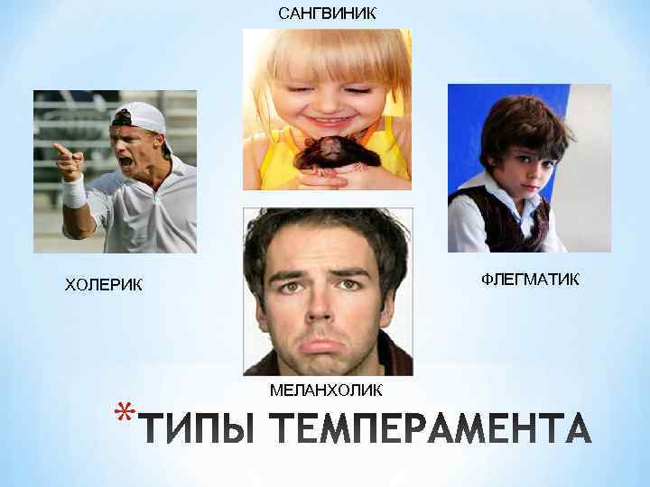    САНГВИНИК ХОЛЕРИК    ФЛЕГМАТИК    МЕЛАНХОЛИК *