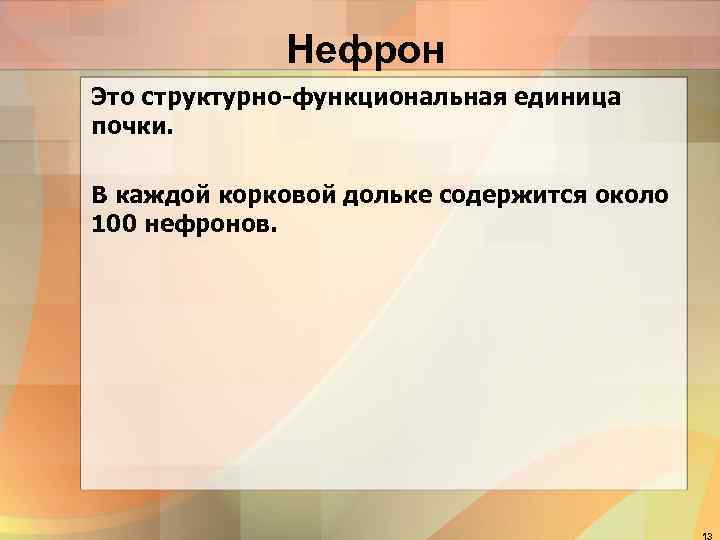    Нефрон Это структурно-функциональная единица почки.  В каждой корковой дольке содержится