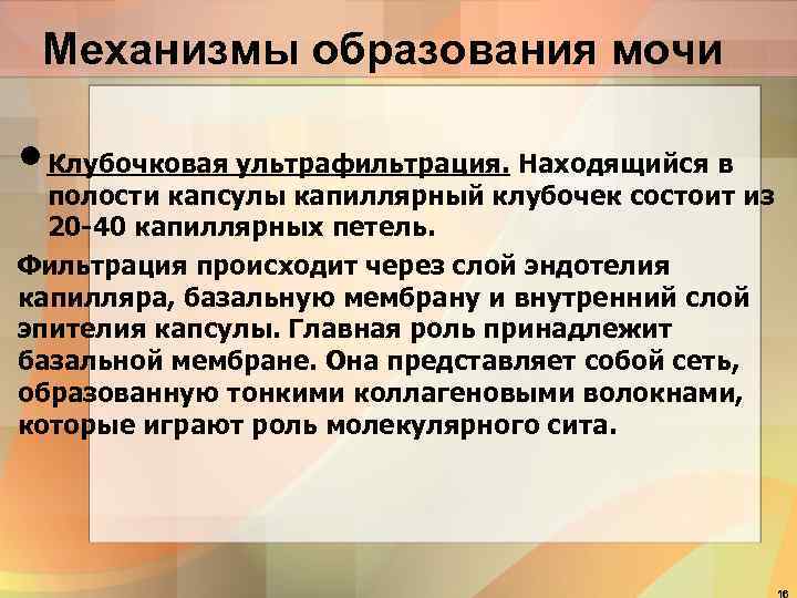  Механизмы образования мочи  • Клубочковая ультрафильтрация. Находящийся в  полости капсулы капиллярный