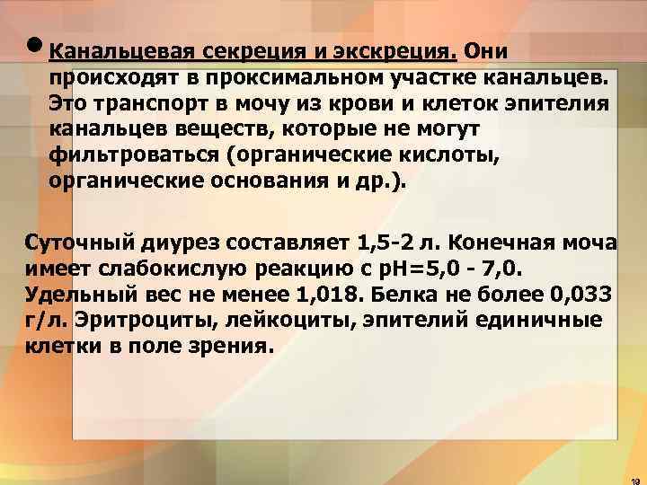  • Канальцевая секреция и экскреция. Они  происходят в проксимальном участке канальцев. 