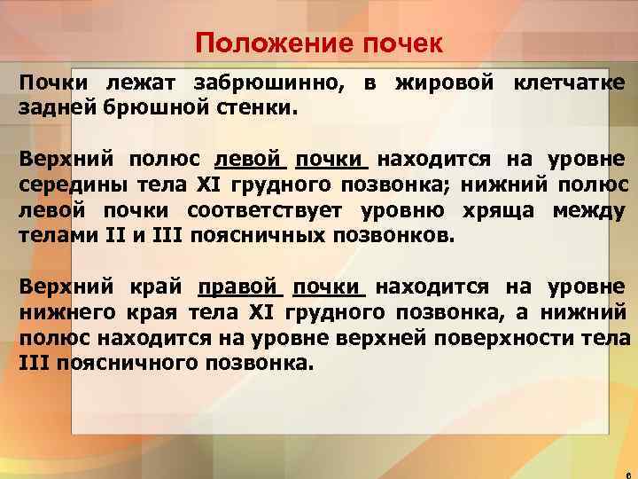    Положение почек Почки лежат забрюшинно, в жировой клетчатке задней брюшной стенки.