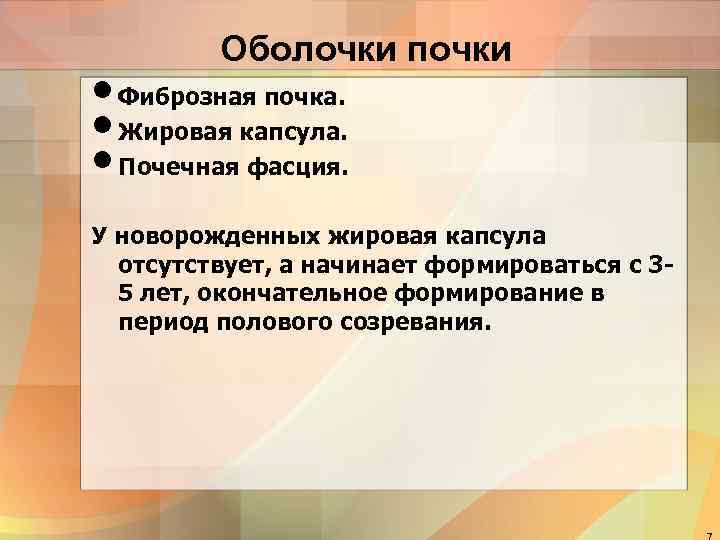    Оболочки почки • Фиброзная почка.  • Жировая капсула.  •