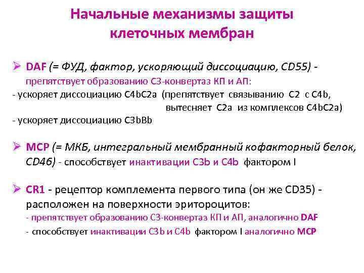   Начальные механизмы защиты   клеточных мембран Ø DAF (= ФУД, фактор,
