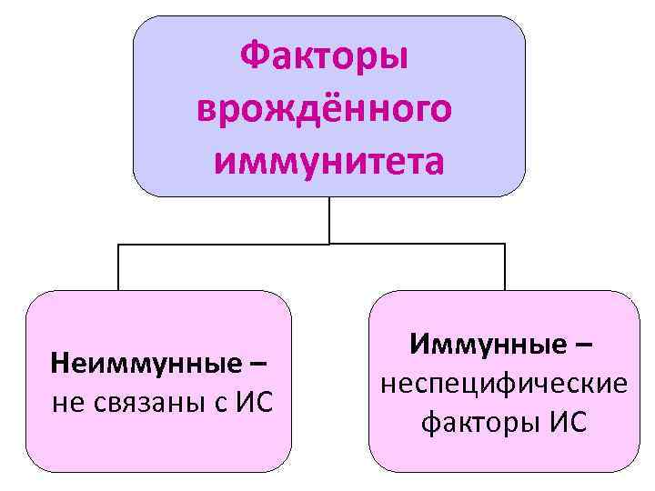  Факторы   врождённого  иммунитета    Иммунные – Неиммунные