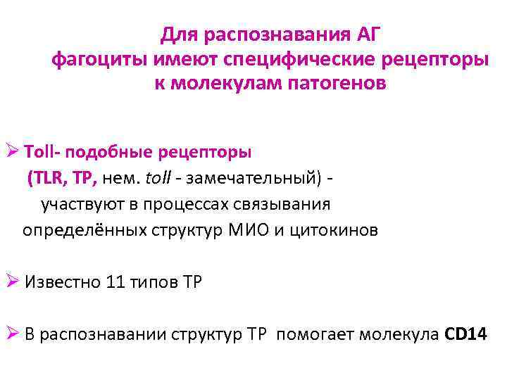     Для распознавания АГ фагоциты имеют специфические рецепторы   