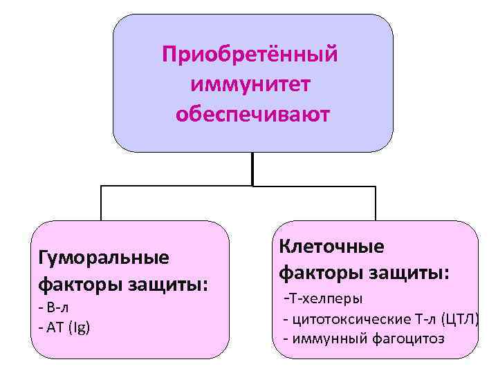 Способы приобретения иммунитета и его вид