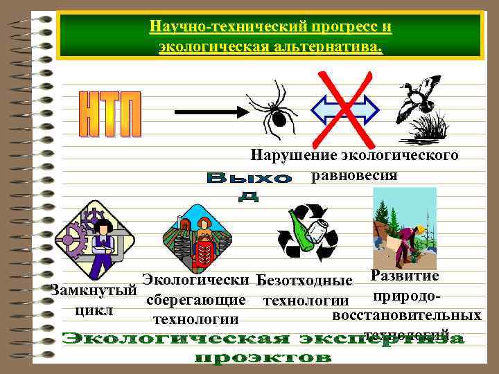   Научно-технический прогресс и   экологическая альтернатива.     Нарушение
