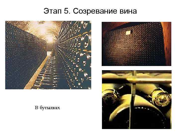 Этап 5. Созревание вина В бутылках Этап 5. Созревание вина В бутылках