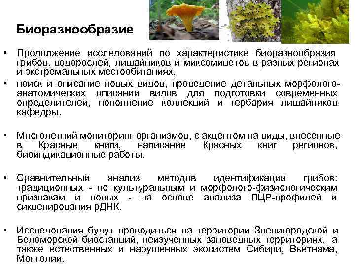 Биоразнообразие • Продолжение исследований по характеристике биоразнообразия грибов, водорослей, лишайников и миксомицетов Биоразнообразие • Продолжение исследований по характеристике биоразнообразия грибов, водорослей, лишайников и миксомицетов