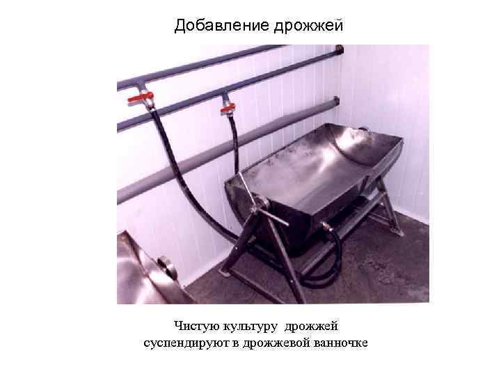 Добавление дрожжей Чистую культуру дрожжей суспендируют в дрожжевой ванночке Добавление дрожжей Чистую культуру дрожжей суспендируют в дрожжевой ванночке