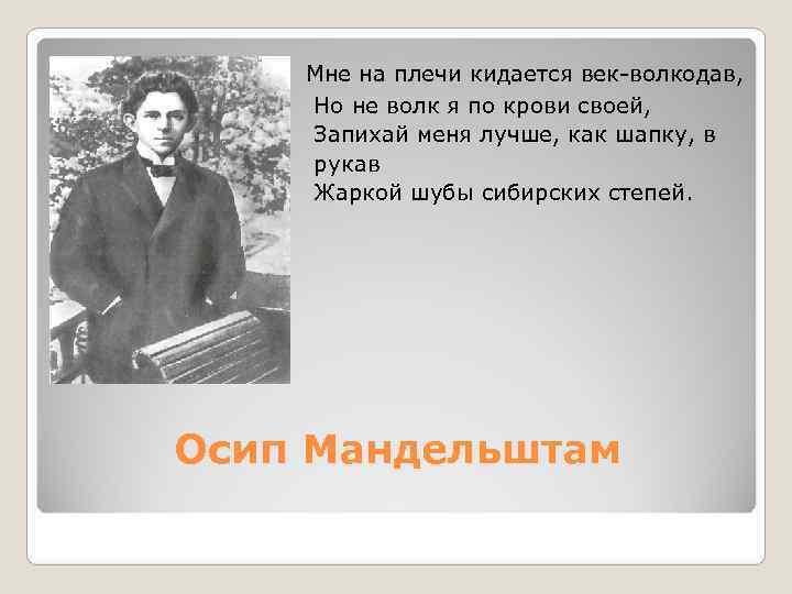     Мне на плечи кидается век-волкодав,     