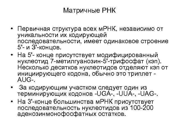     Матричные РНК  • Первичная структура всех м. РНК, независимо