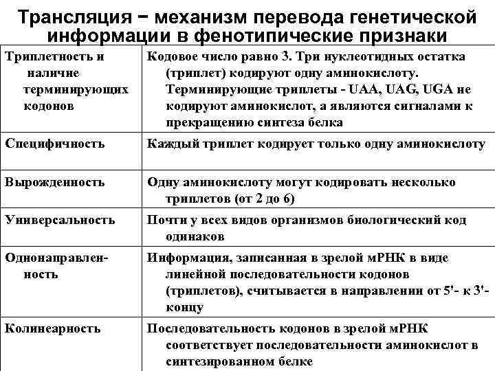  Трансляция − механизм перевода генетической информации в фенотипические признаки Триплетность и  Кодовое