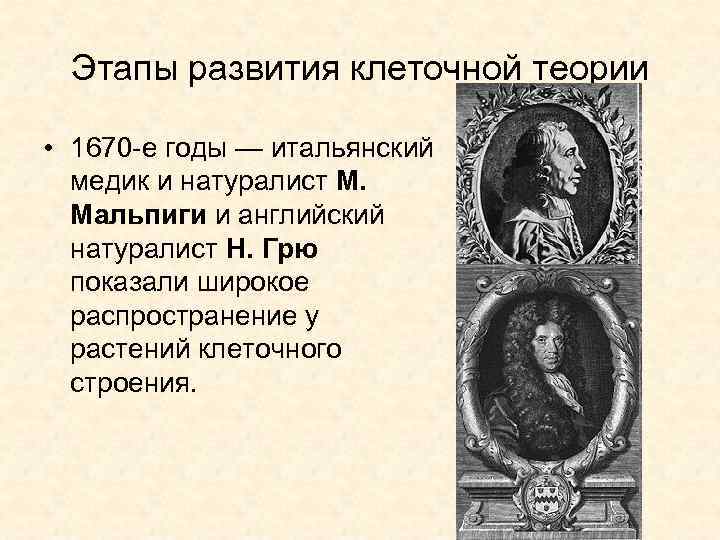  Этапы развития клеточной теории  • 1670 -е годы — итальянский  медик