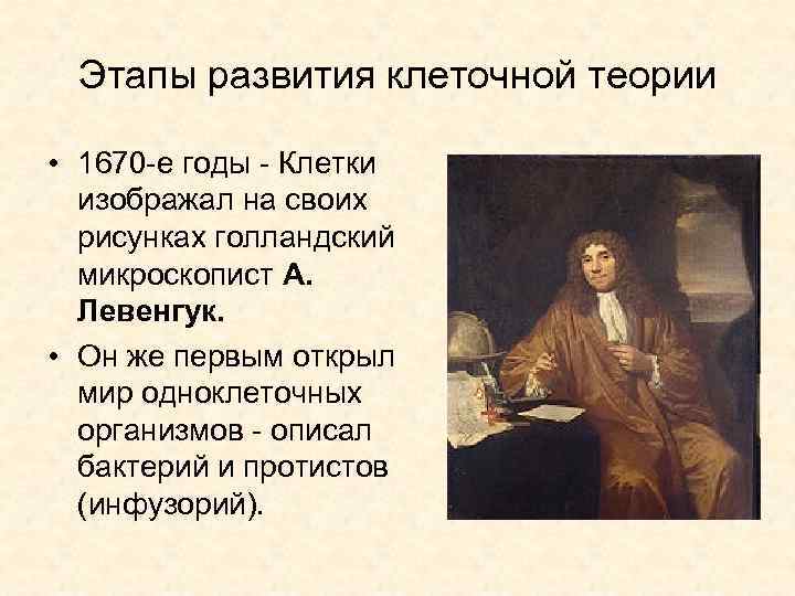  Этапы развития клеточной теории  • 1670 -е годы - Клетки  изображал