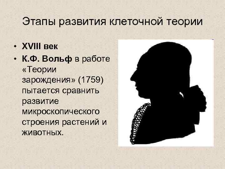  Этапы развития клеточной теории  • XVIII век  • К. Ф. Вольф
