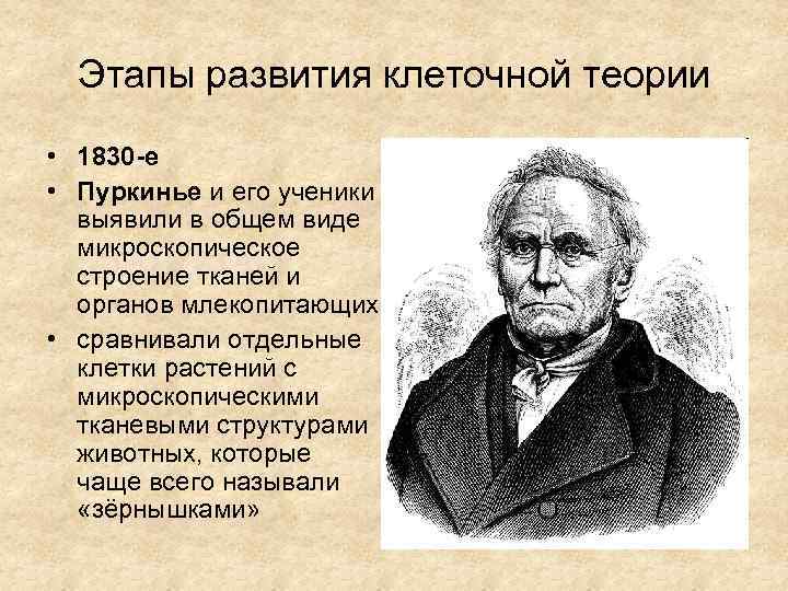 Развитие клеточной теории. Ян Пуркинье клеточная теория. Ян Пуркинье описал клеточное ядро. Вклад Пуркинье в клеточную теорию. Ян Пуркинье клеточная теория открыл.