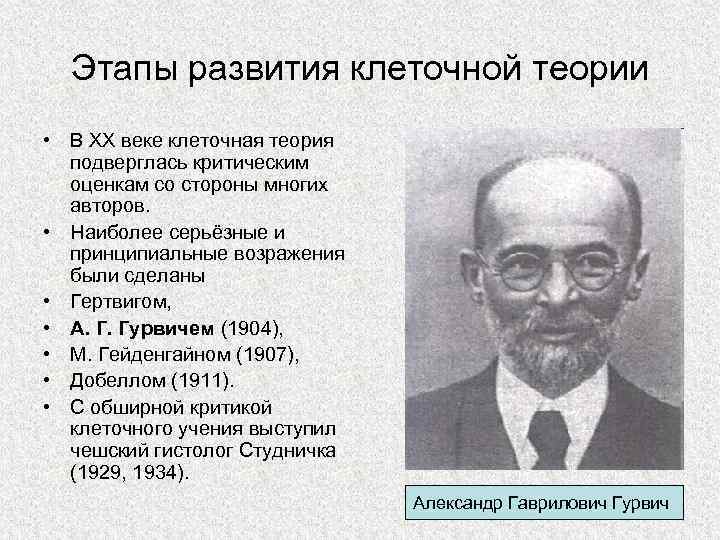 Жорж гурвич разработал проект декларации прав